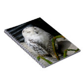 Cute Snowy Owl Notitieboek (Rechterzijde)