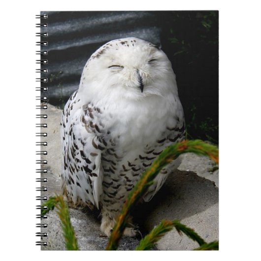 Cute Snowy Owl Notitieboek (Voorkant)