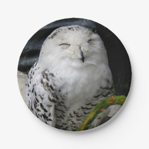 Cute Snowy Owl Papieren Bordje