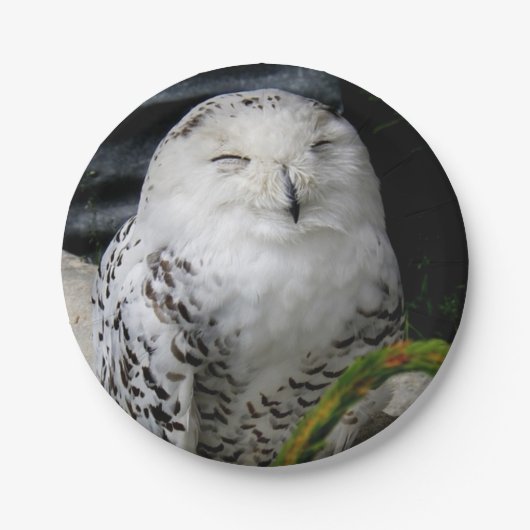Cute Snowy Owl Papieren Bordje (Voorkant)