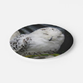 Cute Snowy Owl Papieren Bordje (Gekanteld)