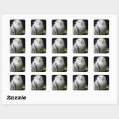 Cute Snowy Owl Vierkante Sticker (Vel)