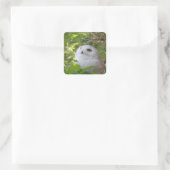 Cute Snowy Owl Vierkante Sticker (Tas)