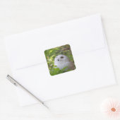 Cute Snowy Owl Vierkante Sticker (Envelop)