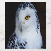 Cute Snowy Owl Wijn Etiket (Enkel label)