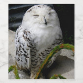 Cute Snowy Owl Wijn Etiket (Enkel label)