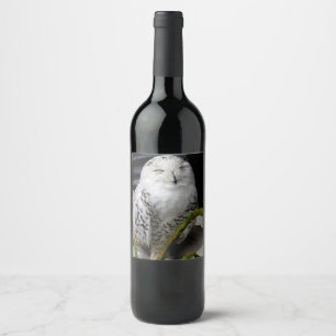 Cute Snowy Owl Wijn Etiket