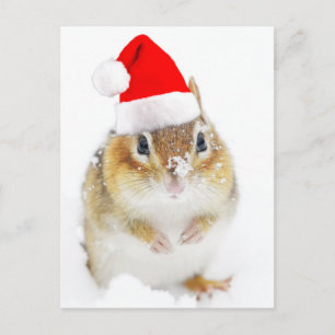 Cute Snowy Santa Chipmunk Feestdagenkaart