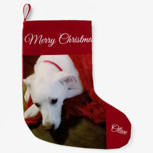 Cute Snowy White Lab Mix Dog kerststop Kleine Kerstsok