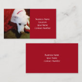 Cute Snowy White Puppy Dog Red Holiday Visitekaartje (Voorkant / Achterkant)