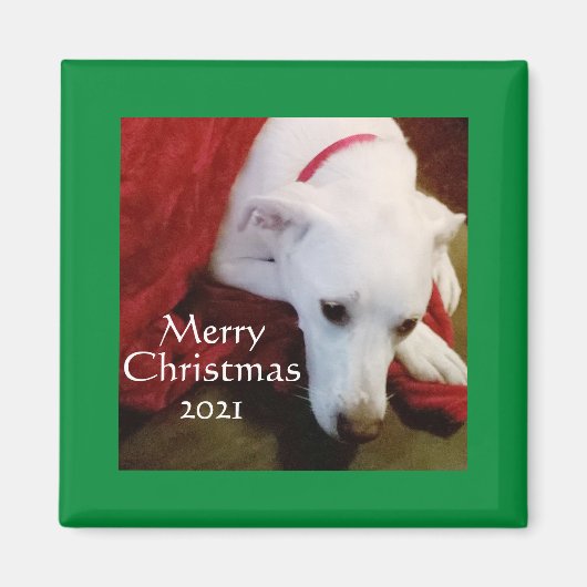 Cute Snowy White Puppy Dog Square green Kerstmis Magneet (Voorkant)
