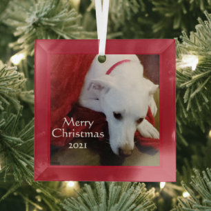 Cute Snowy White Puppy Dog Square Red Glas Ornament
