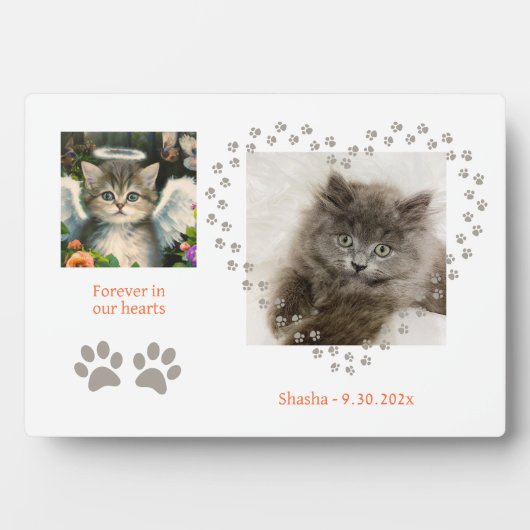 Cute Soft Kitten Angel Fotoplaat (voorkant)