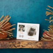 Cute Soft Kitten Angel Fotoplaat (Zijkant)