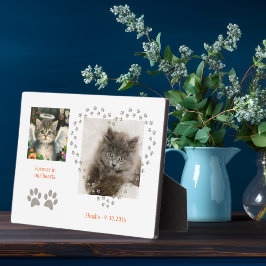Cute Soft Kitten Angel Fotoplaat