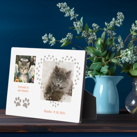 Cute Soft Kitten Angel Fotoplaat