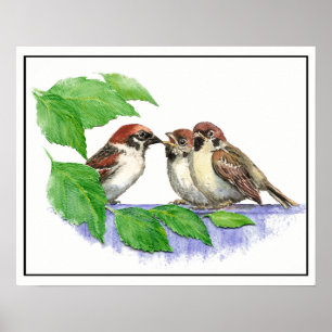 Cute Song Sparrow, Bird, Garden, Animal Natuur Poster