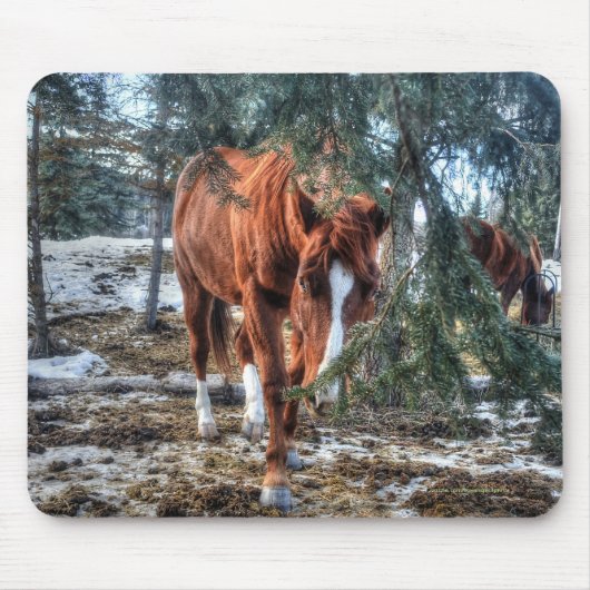 Cute Sorrel Mare and Branches Horse-lover Cft Muismat (Voorkant)