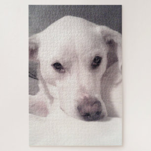Cute Soulful Eyes Puppy Dog White en Grey Legpuzzel