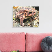 Cute Southern Toad Close-up Canvas Afdruk (Insitu (Woonkamer))