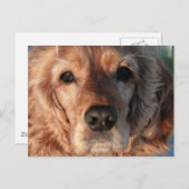 Cute Spaniel Briefkaart (Voorkant / Achterkant)