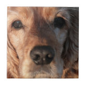 Cute Spaniel Tile Tegeltje (Voorkant)
