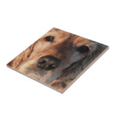 Cute Spaniel Tile Tegeltje (Zijkant)