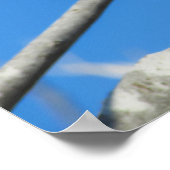 Cute sparrow poster (Hoek)