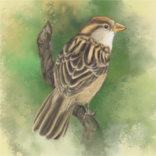 Cute Sparrow Sticker (Voorkant)