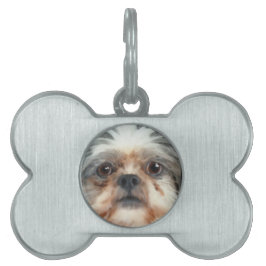 Cute Speelgoed Dog-lover-cadeautje Huisdieren Naamplaatje