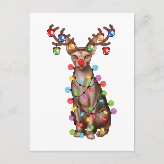 Cute Sphynx Cat Lover Funny Xmas Holiday Gift Briefkaart (Voorkant)
