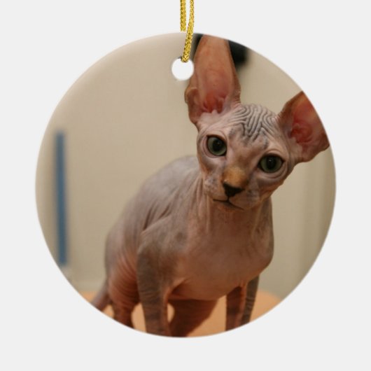 Cute sphynx kitten "Ik ben woedend, hè?" Keramisch Ornament (Voorkant)