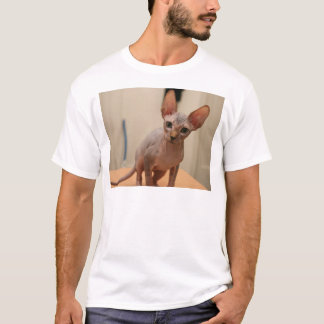 Cute sphynx kitten "Ik ben woedend, hè?" T-shirt