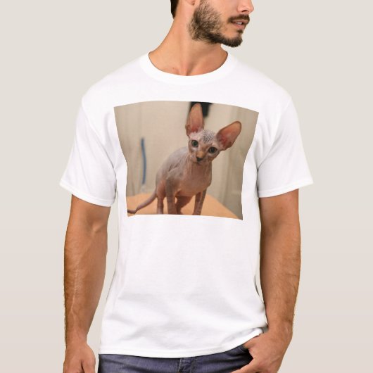 Cute sphynx kitten "Ik ben woedend, hè?" T-shirt (Voorkant)