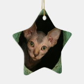 Cute sphynx kitten keramisch ornament (Rechts)