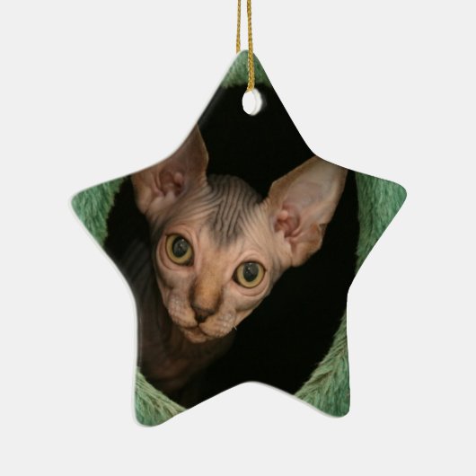 Cute sphynx kitten keramisch ornament (Rechts)