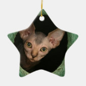 Cute sphynx kitten keramisch ornament (Voorkant)