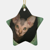 Cute sphynx kitten keramisch ornament (Links)