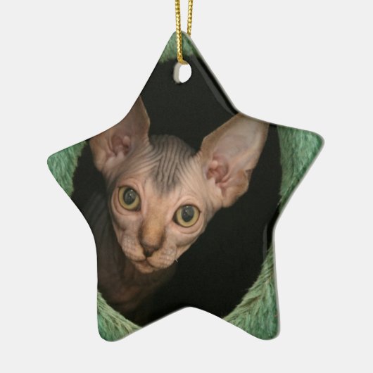 Cute sphynx kitten keramisch ornament (Links)