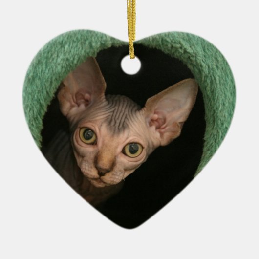 Cute sphynx kitten keramisch ornament (Voorkant)