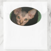 Cute sphynx kitten ovale sticker (Tas)