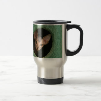 Cute sphynx kitten reisbeker