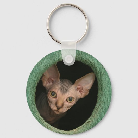 Cute sphynx kitten sleutelhanger (Voorkant)