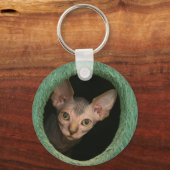 Cute sphynx kitten sleutelhanger (Voorkant)