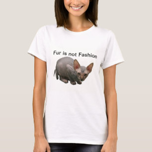 Cute sphynx kitten t-shirt