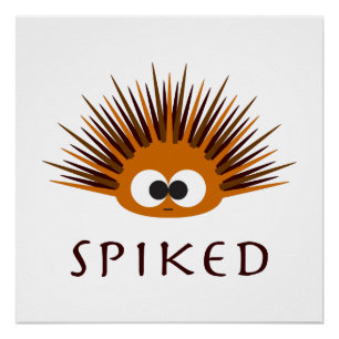 Cute Spiked Oranje Zee Urchin Poster