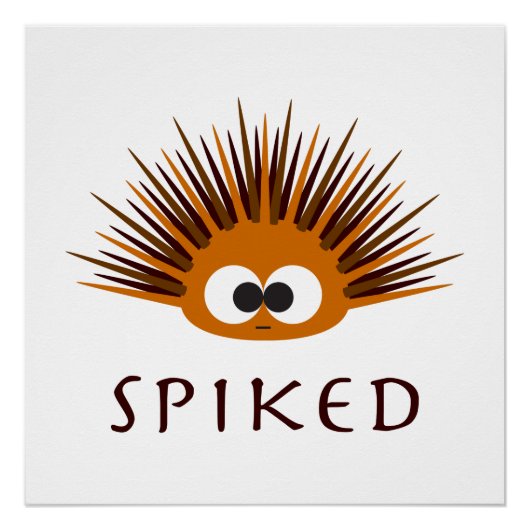 Cute Spiked Oranje Zee Urchin Poster (Voorkant)