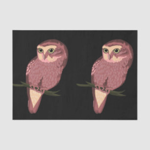 Cute Spotted Owl Tissuepapier