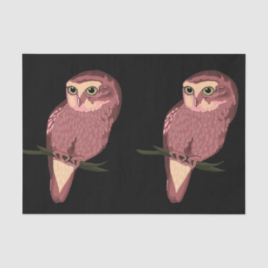 Cute Spotted Owl Tissuepapier (Voorkant)