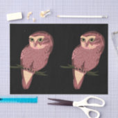 Cute Spotted Owl Tissuepapier (Craft)